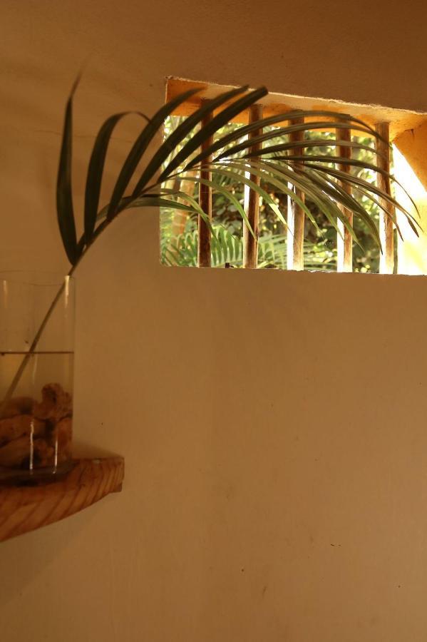 Casa Caraiva